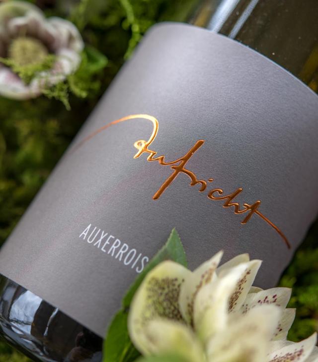 Außergewöhnliche Weine • Weingut Aufricht am Bodensee